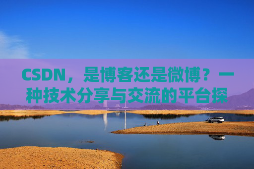 CSDN,是博客还是微博?一种技术分享与交流的平台探讨